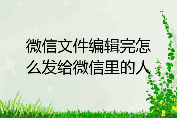 苹果xlsx手机版微信版wps文件怎么保存到苹果手机本地-第1张图片-太平洋在线下载