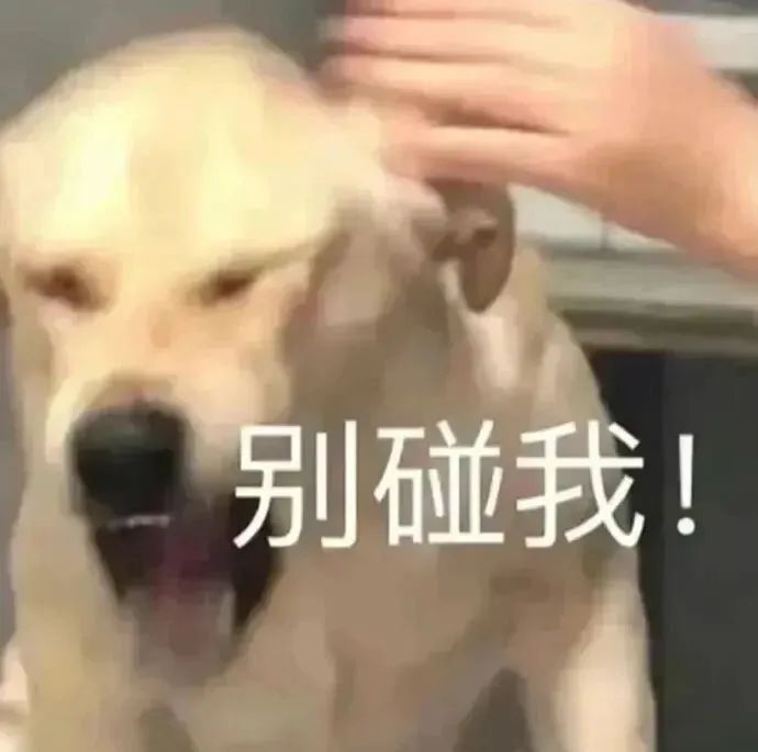 搞笑神器苹果版trollstore苹果手机下载-第1张图片-太平洋在线下载