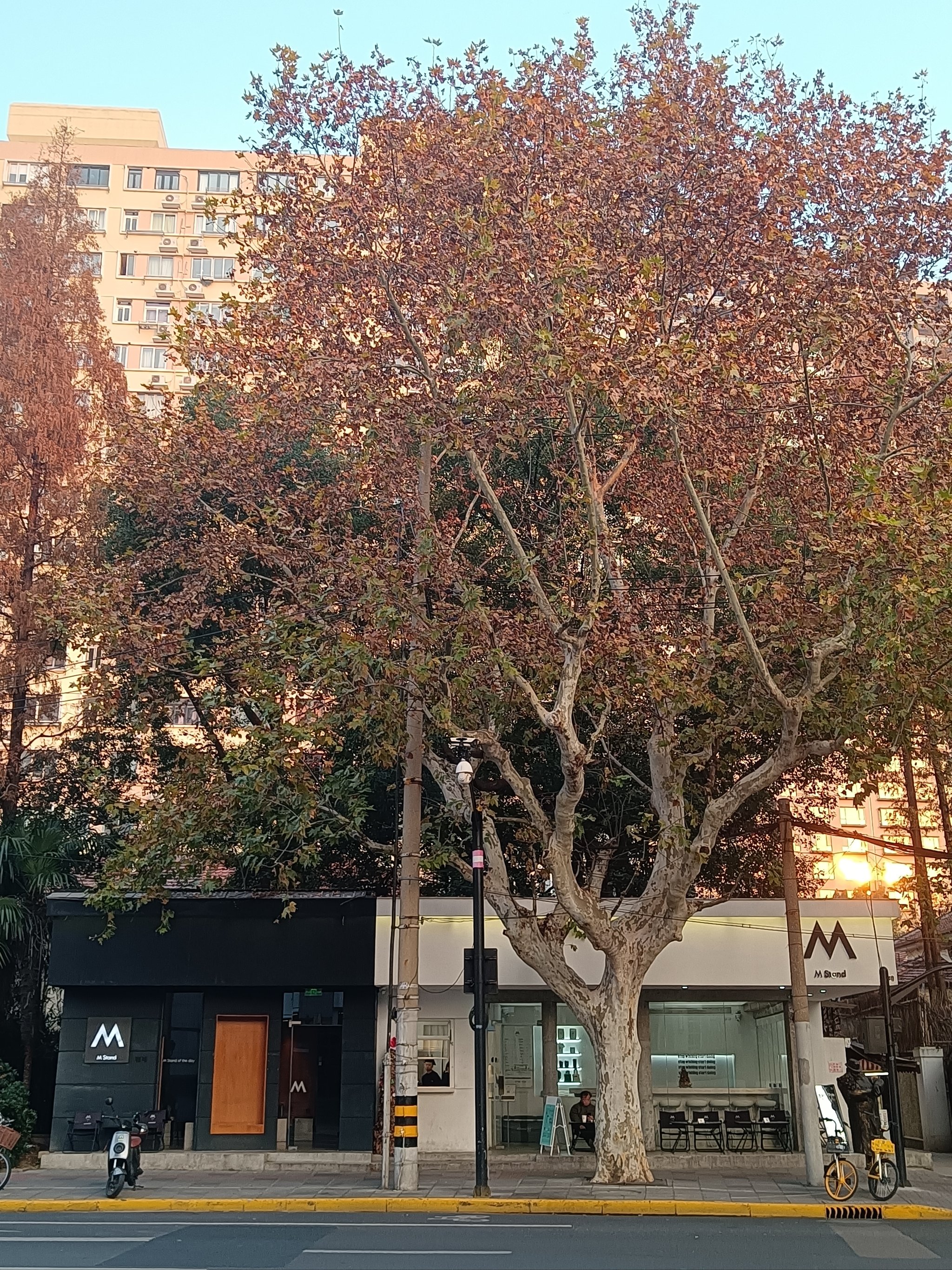 手机版小黑屋安卓小黑屋app-第2张图片-太平洋在线下载