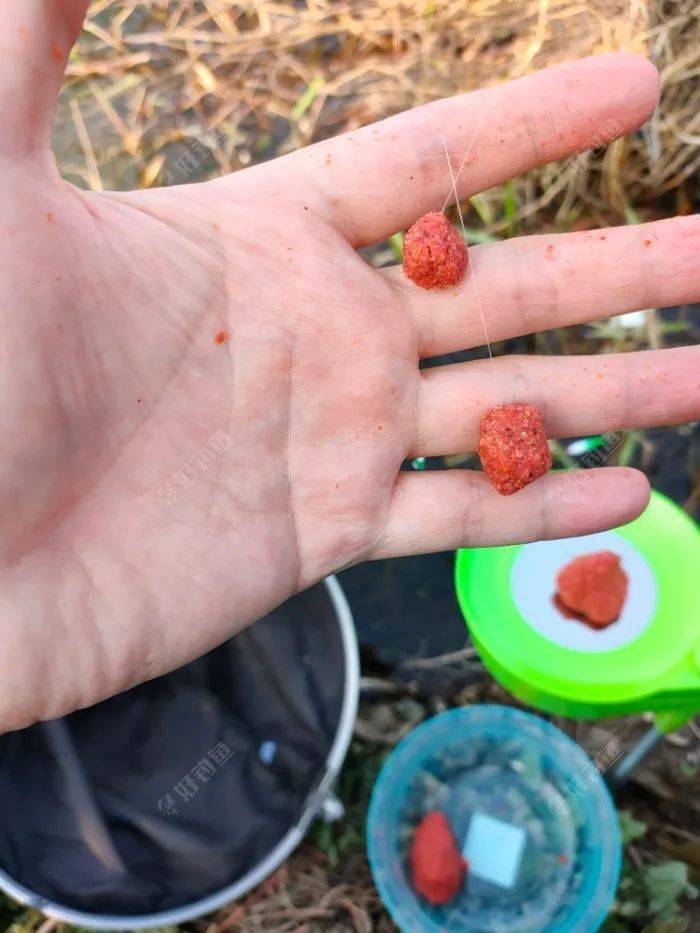 小草客户端1.2小草客户端android23-第2张图片-太平洋在线下载