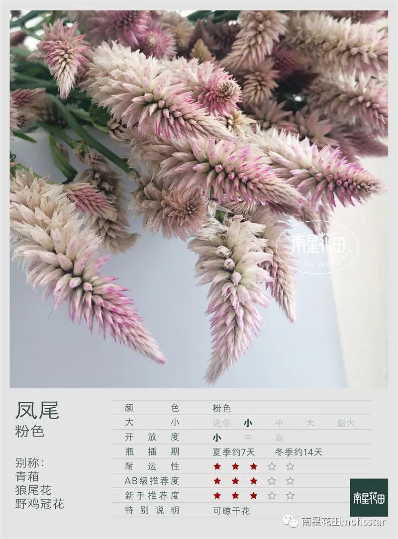 贴吧小尾巴手机版百度贴吧和豆瓣崩了-第1张图片-太平洋在线下载